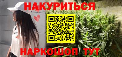 шишки Гудермес