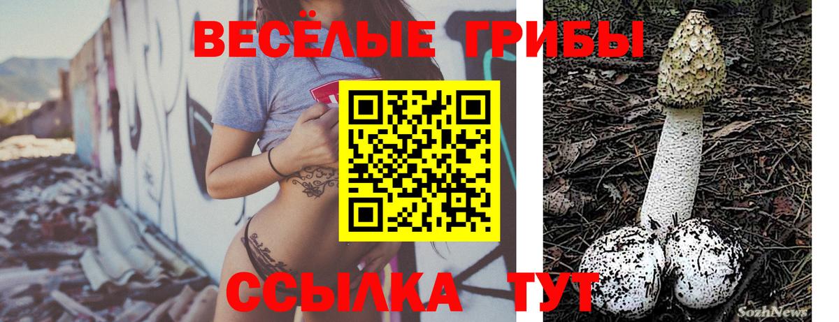 Псилоцибиновые грибы MAGIC MUSHROOMS Выборг
