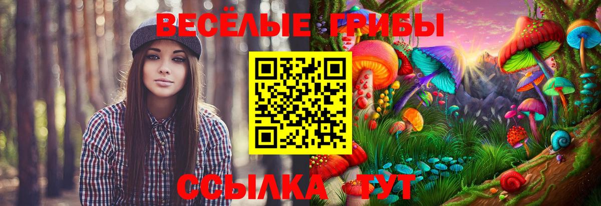 Выборг  Псилоцибиновые грибы GOLDEN TEACHER  Вход с VPN  Галлюциногенные грибы мухоморы 